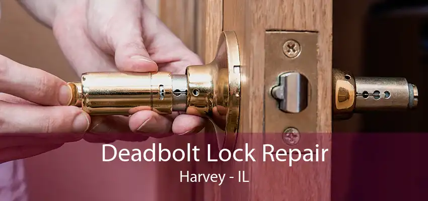 Deadbolt Lock Repair Harvey - IL