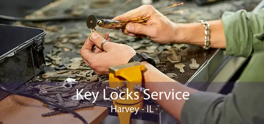 Key Locks Service Harvey - IL