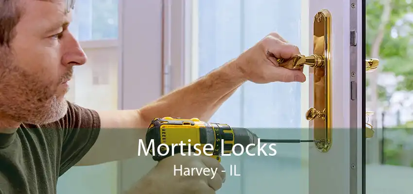 Mortise Locks Harvey - IL