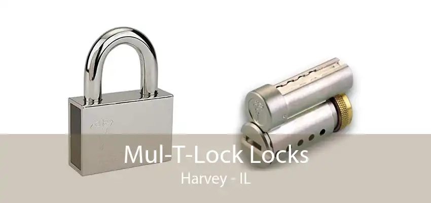 Mul-T-Lock Locks Harvey - IL